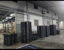 Pallet plastik second bagus dan murah