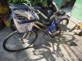 Sepeda Phoenix Fashion Masih Bagus Kuat