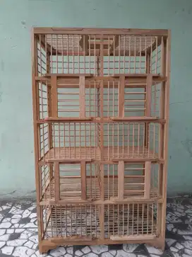 Dondang lepas burung dara
