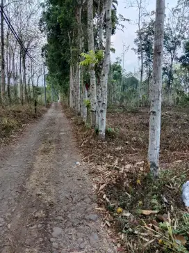 Di Jual tanah BU