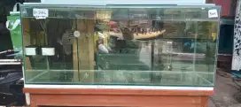 Ikan chana ys -  ikan Toman