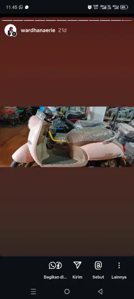 Sepeda listrik pasific dan exotic