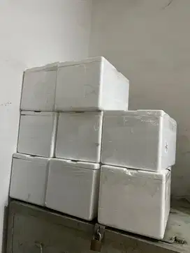 Sterofoam *Styrofoam*