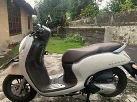 Scoopy Prestige 2022