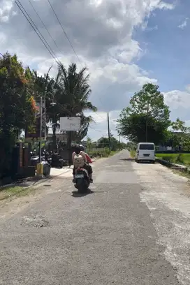 TANAH SAWAH LUAS MURAH DI SEKITAR KAMPUS UMY GAMPING SLEMAN YOGYA
