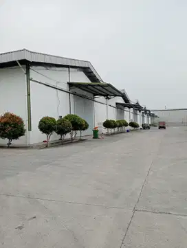 Disewakan Gudang Kawasan Jawilan Cikande Banten