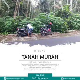 Dijual Tanah Murah Di Turi; Tepi Jalan Aspal & Ada Mata Air, 800 Ribua