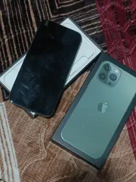 iPhone 13 pro max