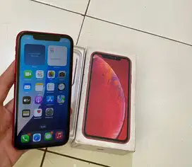 Iphone Xr 64gb inter Fullset