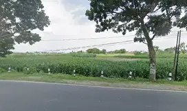 Sawah 0 jalan poros Strategis
