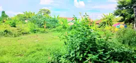 Tanah 3500 M2 Jl By Pass Ngurah Rai Simpang Siur Bali