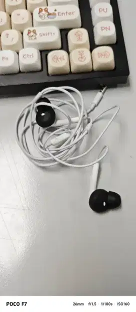 Original Earpod