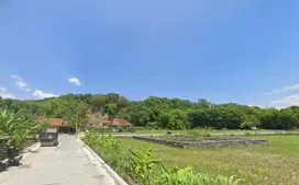 Tanah Strategis Hanya 1X Masuk Dari Jalan Jogja Wonosari