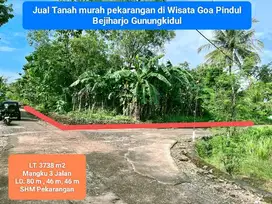 Jual tanah murah subur pekarangan di Bejiharjo Gunung Kidul