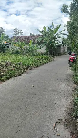 Tanah pekarangan kosong di jual di nangsri utara prambanan