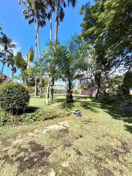 Dijual Tanah Kavling View Pegunungan di Puncak Tidar Malang