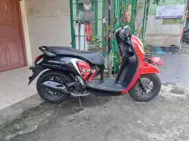 Honda scoooy sporty 2022