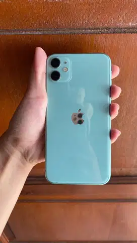 Iphone 11 Wifi Only