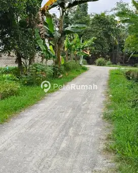 DIJUAL TANAH JL TRAKTOR GUDANG - DAERAH BINJAI (WANDYAGO)