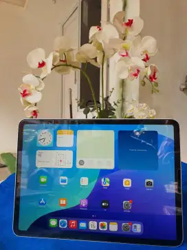 Ipad pro 11 inch 4th generation +PEN