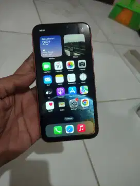 iPhone xr 64 wifi only