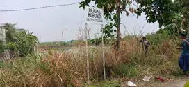 Jual tambak daerah Sumberejo benowo surabaya