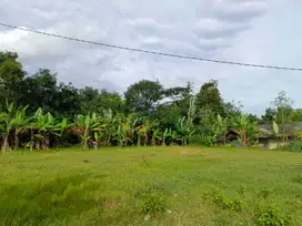 200 Meter Jl. Jegang POJ, Kavling SHM Cibarusah, Bekasi