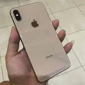 Xs max 256GB Gold mulus