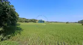 Jual tanah komersial dekat tol baru legok bsd tangerang banten