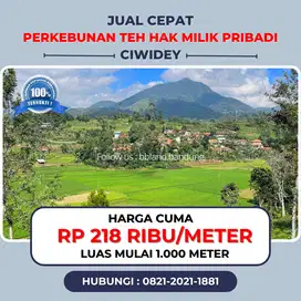 Jual tanah murah di Ciwidey Cocok untuk Villa