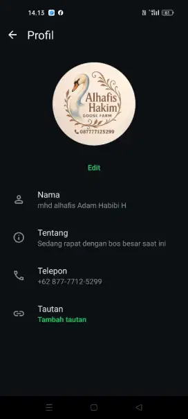 Jual anak angsa 8 ekor