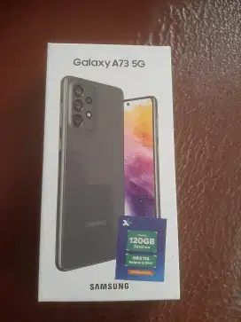 Samsung Galaxy A73 5G