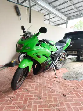 Ninja RR new 2012