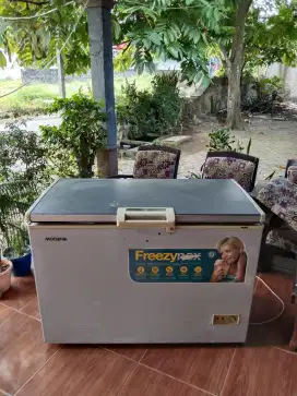 Freezer box modena 300 liter