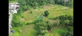 Dijual Tanah di Rancabuaya, Jambe, Tangerang - Banten