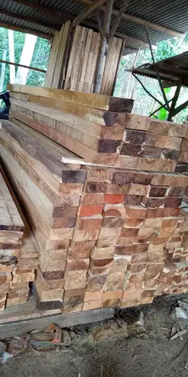 Butuh Kayu Berkualitas? Kaso & Papan Kami Siap Mendukung Proyek Anda