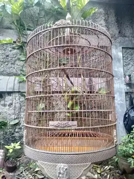 Sangkar Murai Lawas/Cungko