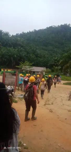 LOWONGAN KERJA TANPA IJAZAH PERKEBUNAN SAWIT NUSANTARA RESMI