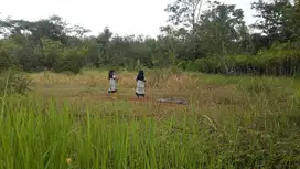 Dijual cepat tanah luas sukadana