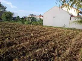 Investasi Aman! Kavling SHM Margajaya Dekat Sekolah & Rumah Sakit