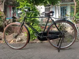 Sepeda kebo lanang