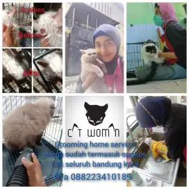 Jasa home service grooming khusus kucing