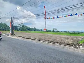 Tanah tepi Jl. Raya Sambiroto dekat SD Budi Mulia