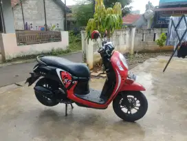Scoopy  tahun 2022
