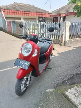 Scoopy staylist 2021 plat F mulus