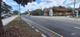 Tanah 35 are Dijual Lokasi Di Jalan Utama, area Gianyar