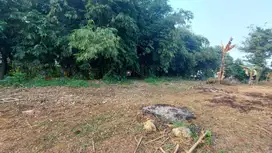 Miliki Kavling SHM Cileungsi – Akses Mudah, Lokasi Berkembang!