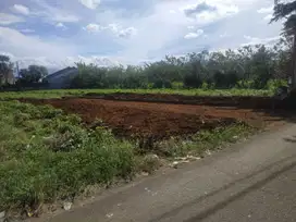 Lokasi Kayu manis: Dekat Terminal Laladon, Dijual Kavling Murah