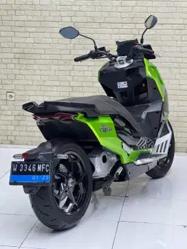 MATIC TER KENCANG‼️ Molis Alva Cervo Pmk 2024 Favorite