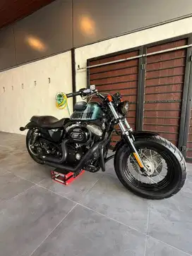 Harley Davidson Sportster 48 2015 Special Colour